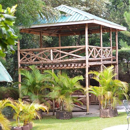 Hotel St. Patrick'S Forest House à Entebbe Extérieur photo