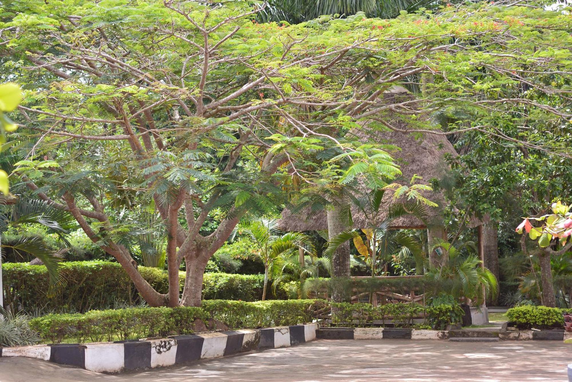 Hotel St. Patrick'S Forest House à Entebbe Extérieur photo